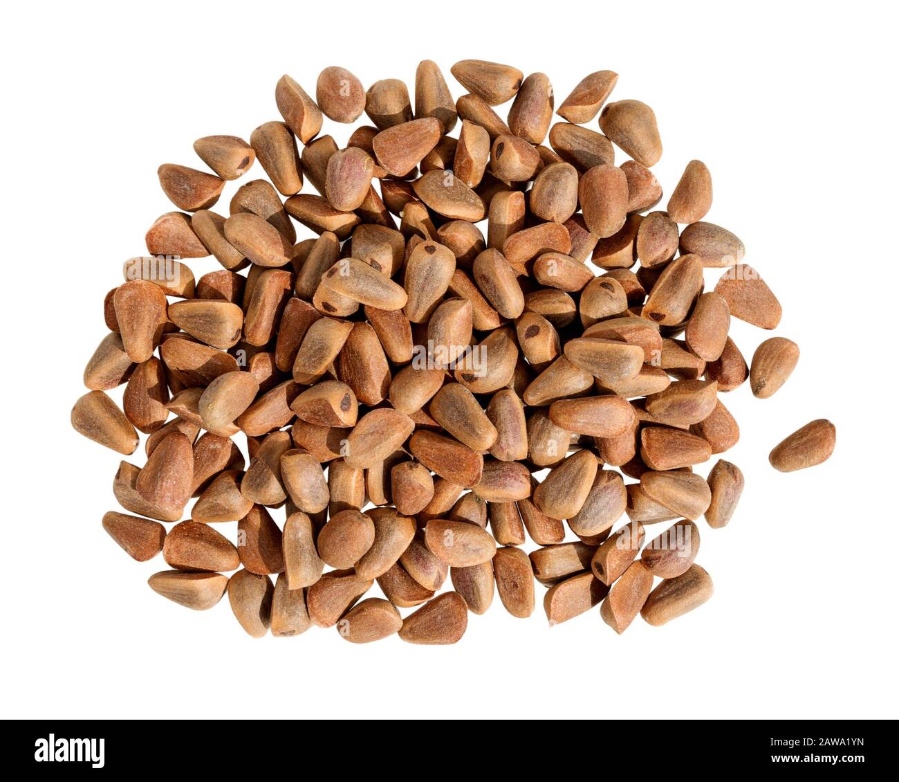 Forest Nuts High Resolution Stock Photography and Images - Alamy