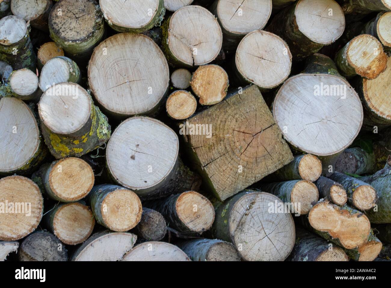 Square peg in a round hole Stock Photo