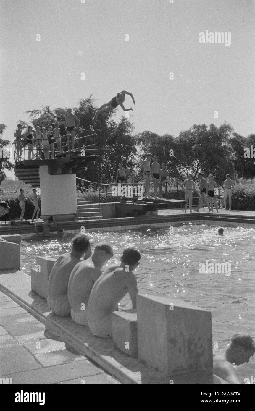 Sport and veldpost description Man jumps high diving board into pool