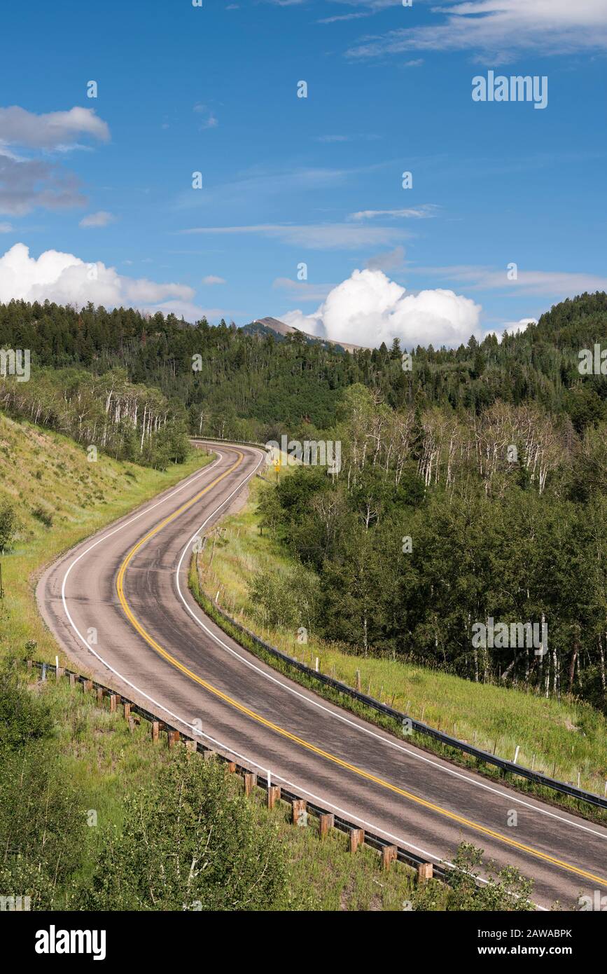 West Elk Loop Scenic Byway, Colorado 133 on McClure Pass 8,755 feet. Located in Gunnison National Forest. Stock Photo