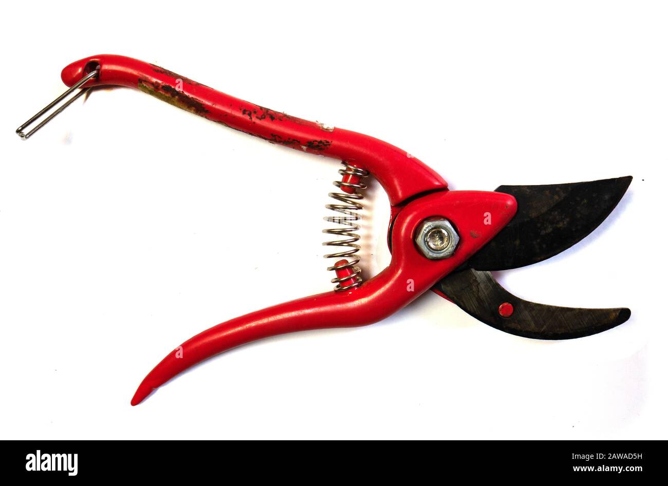 Secateur on a white background. Garden scissors Stock Photo Alamy