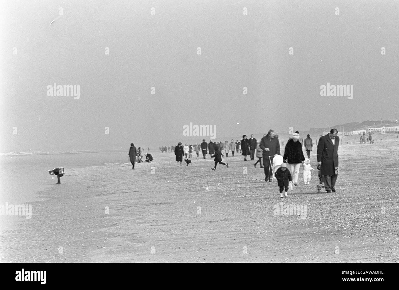 Bikini zandvoort march hires stock photography and images Alamy