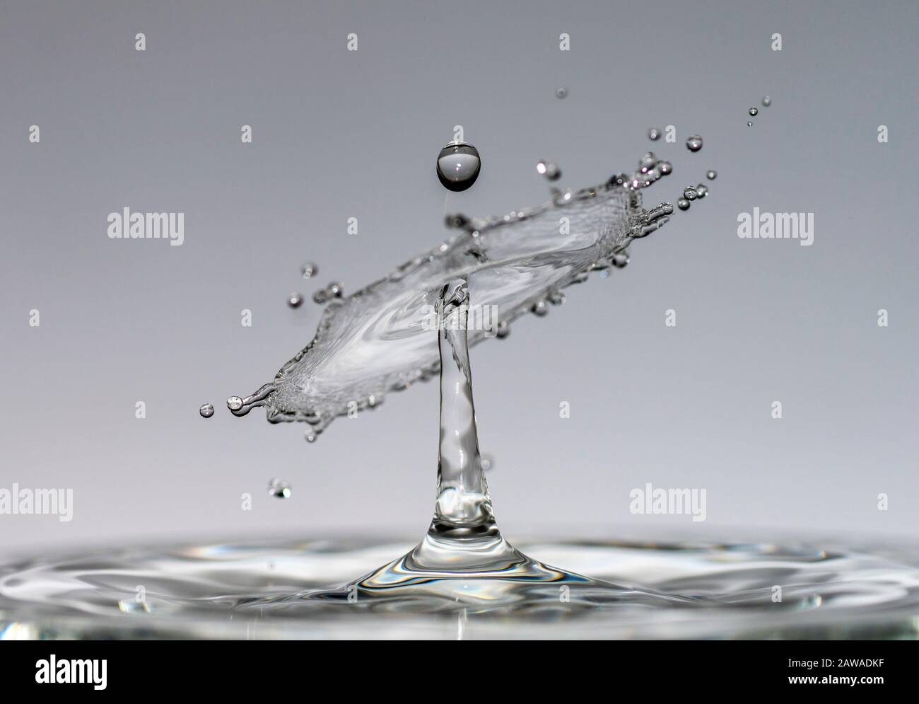 Water drops fall from a height of pure, clear water forming splashes in ...