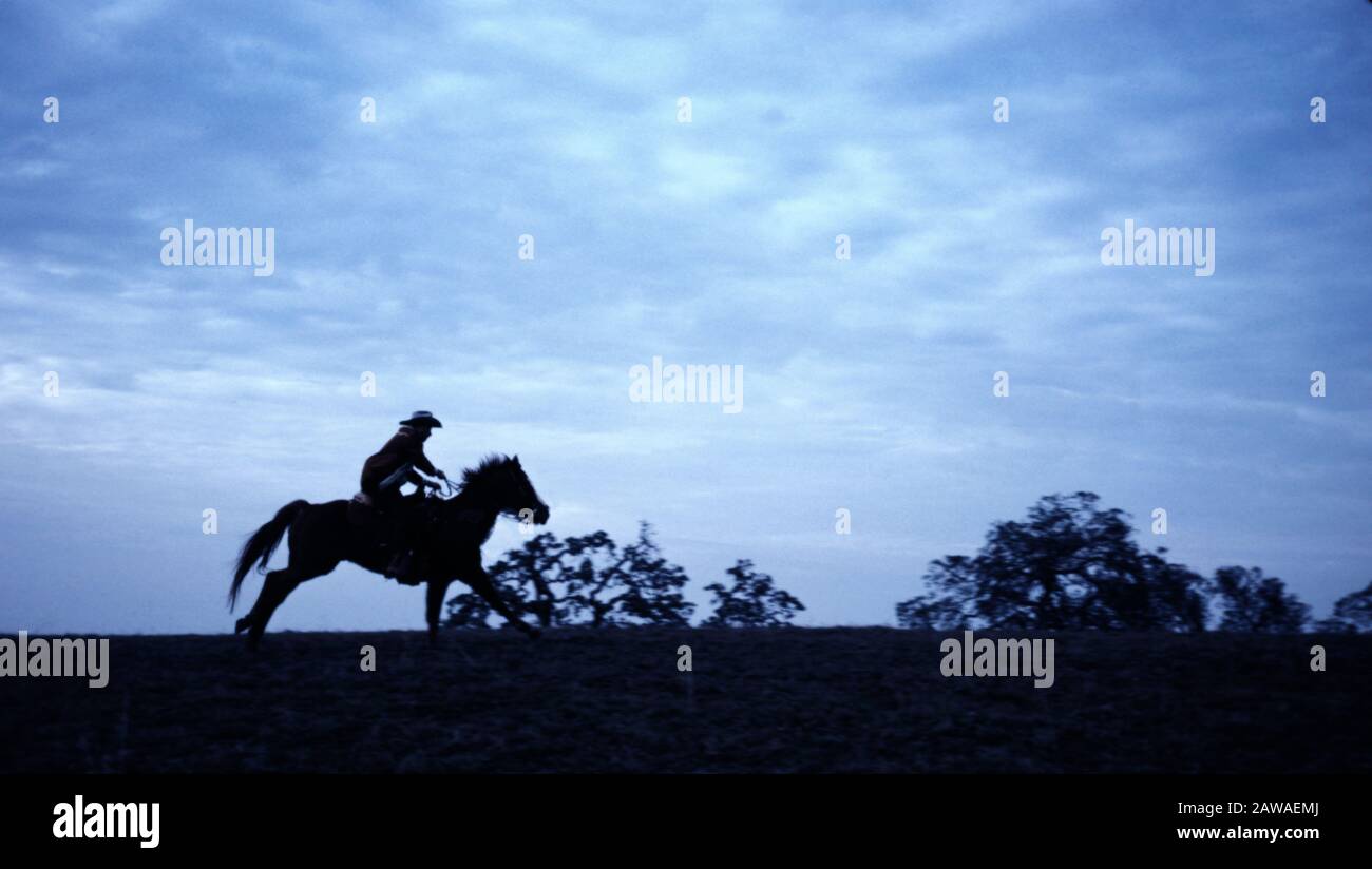 Cowboy on horseback galloping across an open field Stock Photo