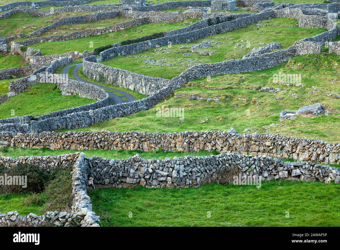 Stone wall in galway hires stock photography and images Alamy