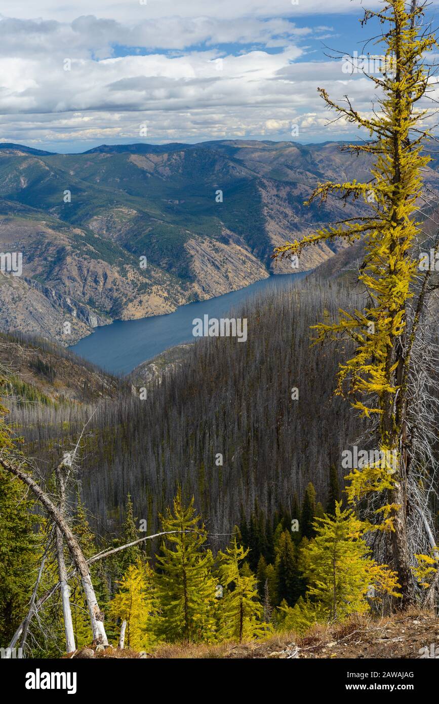 Lake Chelan Surrounded By Mountains and Burnt Trees Stock Photo