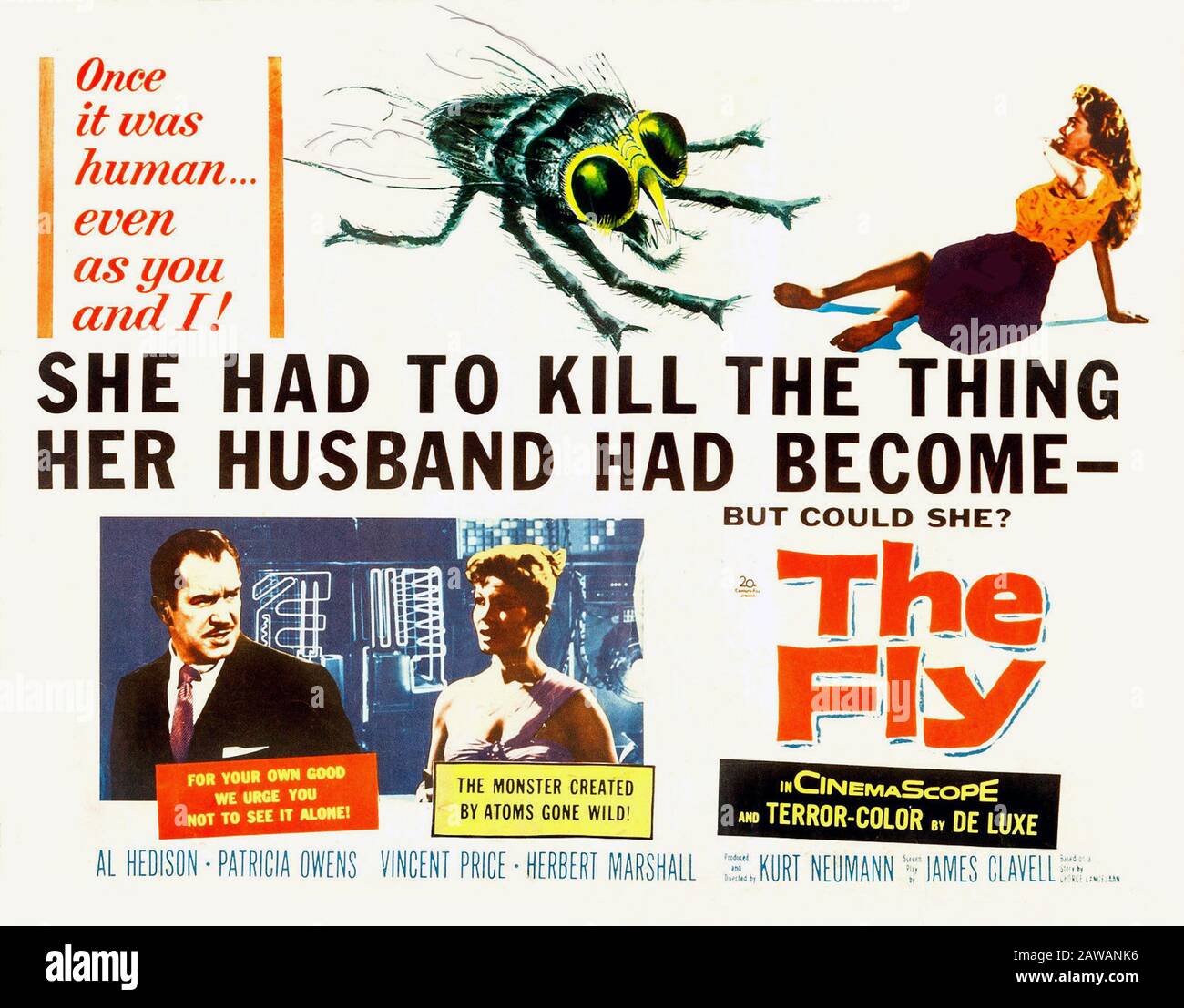 1958 , USA : The original poster advertising for the movie THE FLY ( L'esperimento del Dottor K.  - 1958 ) by Kurt Neumann , from a novel by George La Stock Photo