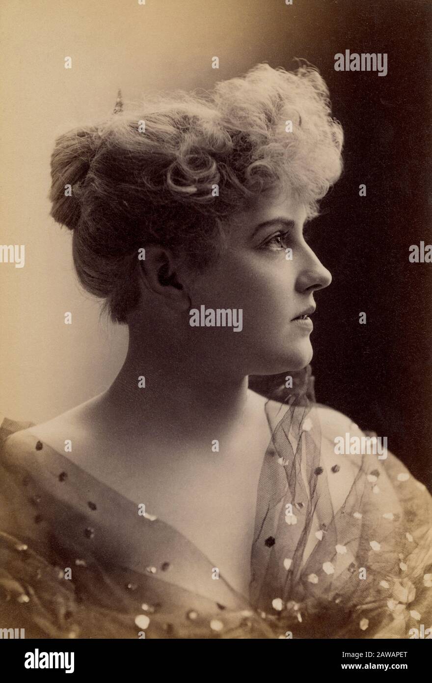 American Prima Donna Stock Photos American Prima Donna Stock