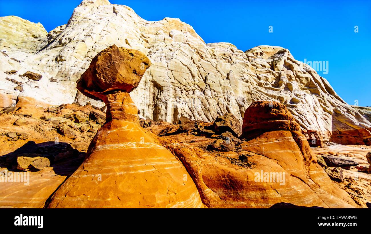 Toadstool Hoodoos against the background of the colorful sandstone mountains in Grand Staircase-Escalante Monument in Utah, Unites States Stock Photo