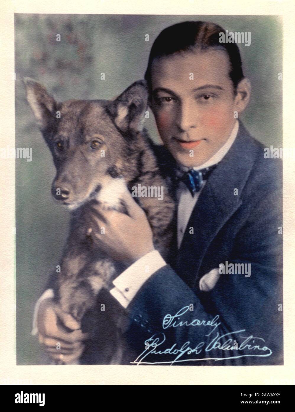 Rudolph valentino dog hi-res stock photography and images - Alamy