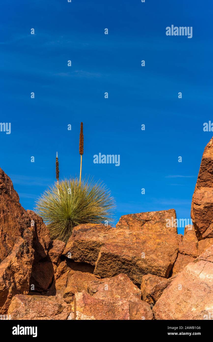 Arid country vegetation clings to survival along one of the scenic ...