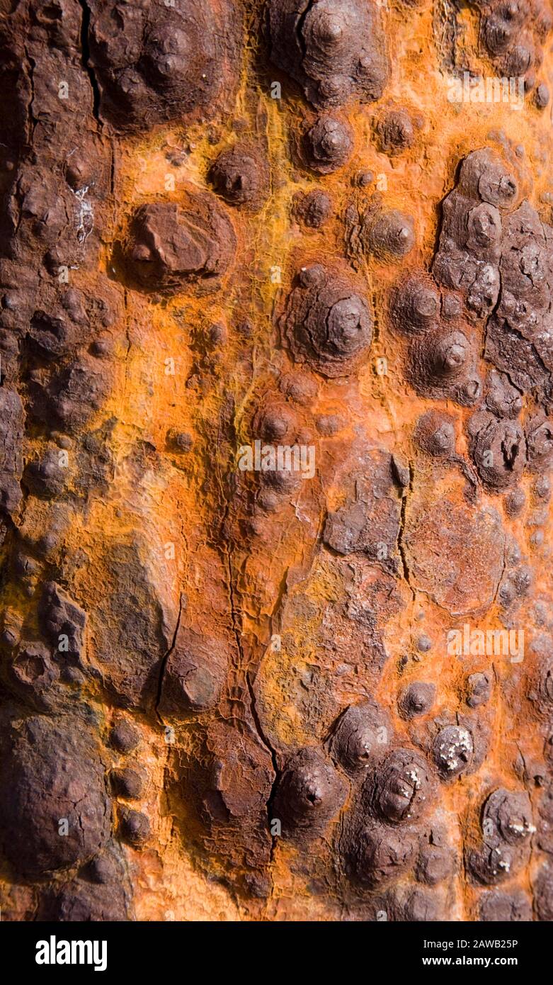 bubbles or rust to use as background Stock Photo Alamy