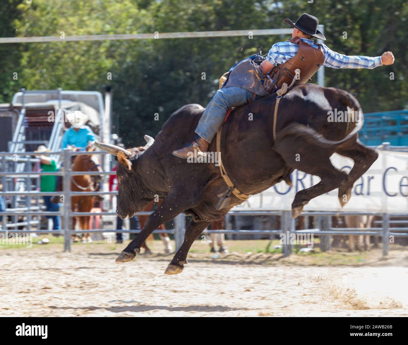 horse saddle at an Australian rodeo Stock Photo - Alamy