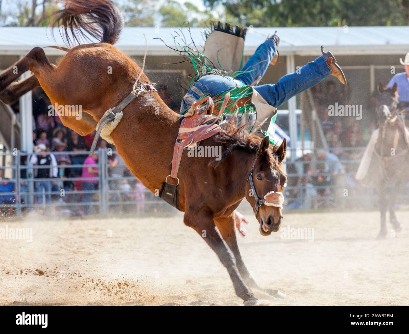 Aussie Rodeo horse saddle at an Australian rodeo Stock Photo - Alamy