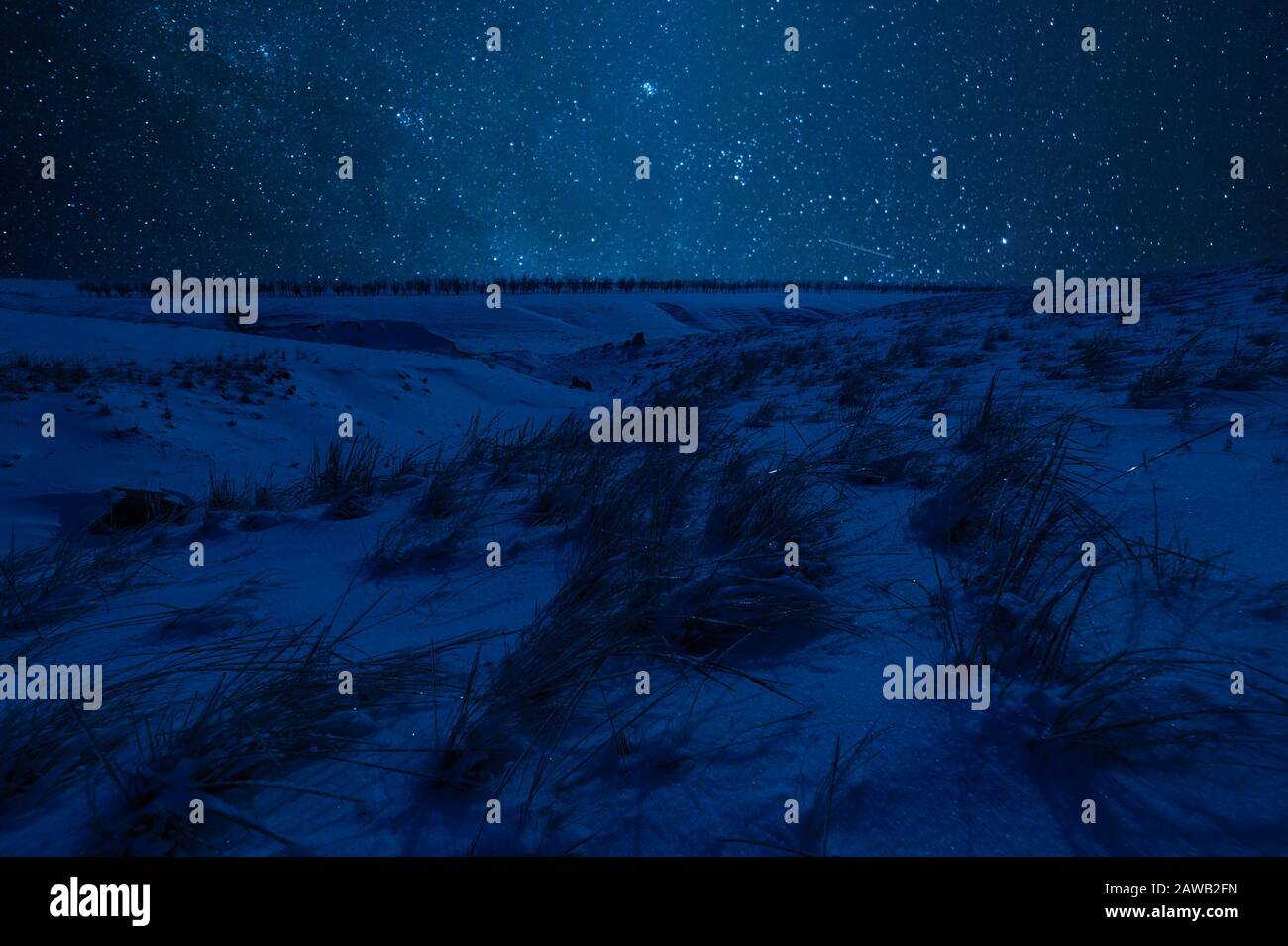 Winter night landscape with steppe covered snow. Icy grass in snowy prairie and stars in sky Stock Photo