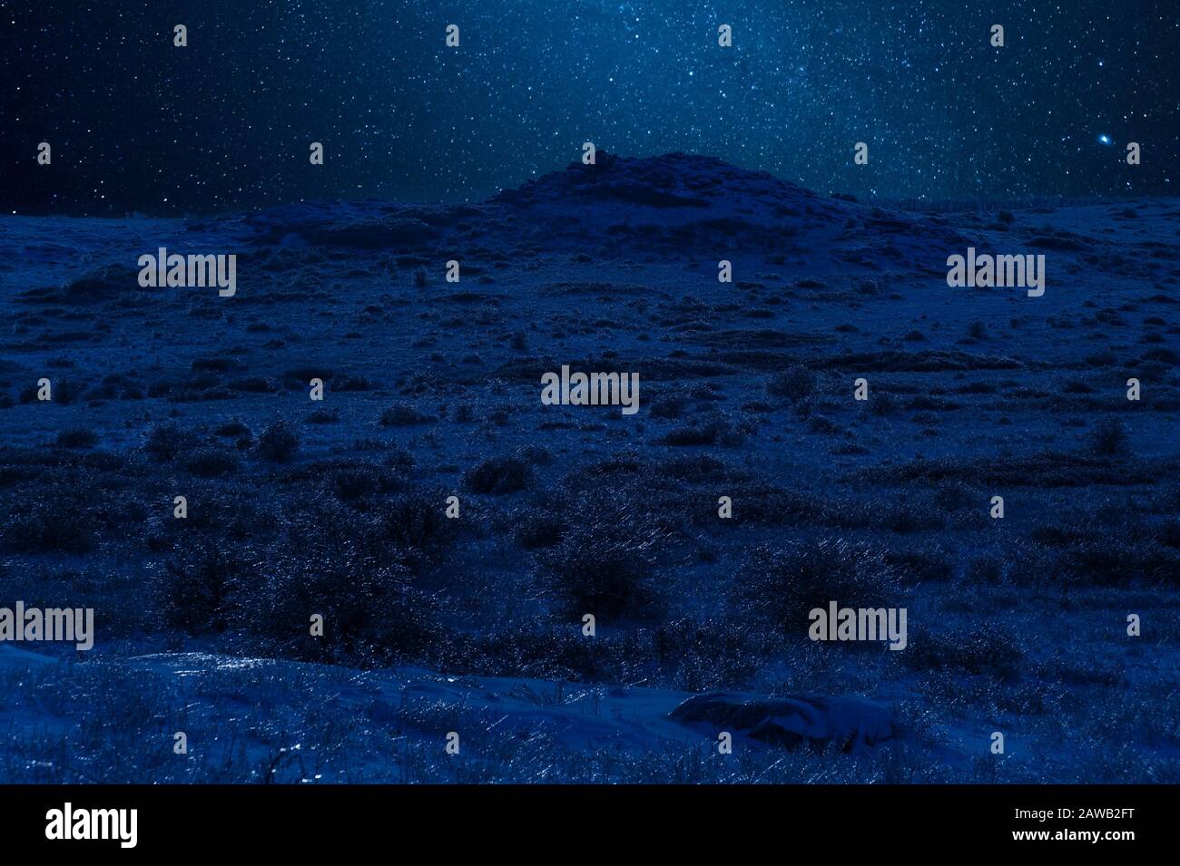 Winter night landscape with steppe covered snow. Icy grass in snowy prairie and stars in sky Stock Photo