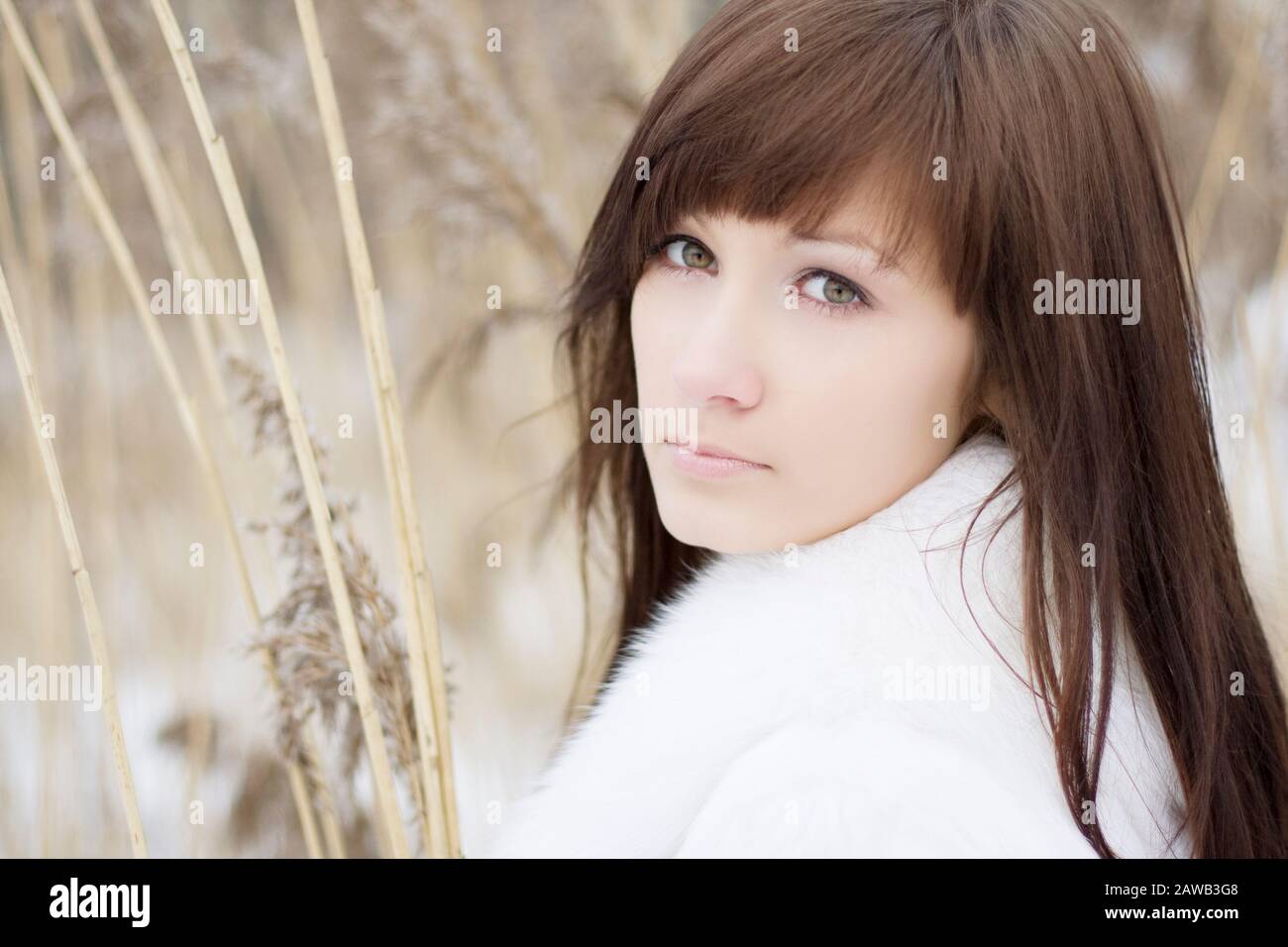 Picture of a beautiful brunette girl in the reed Stock Photo