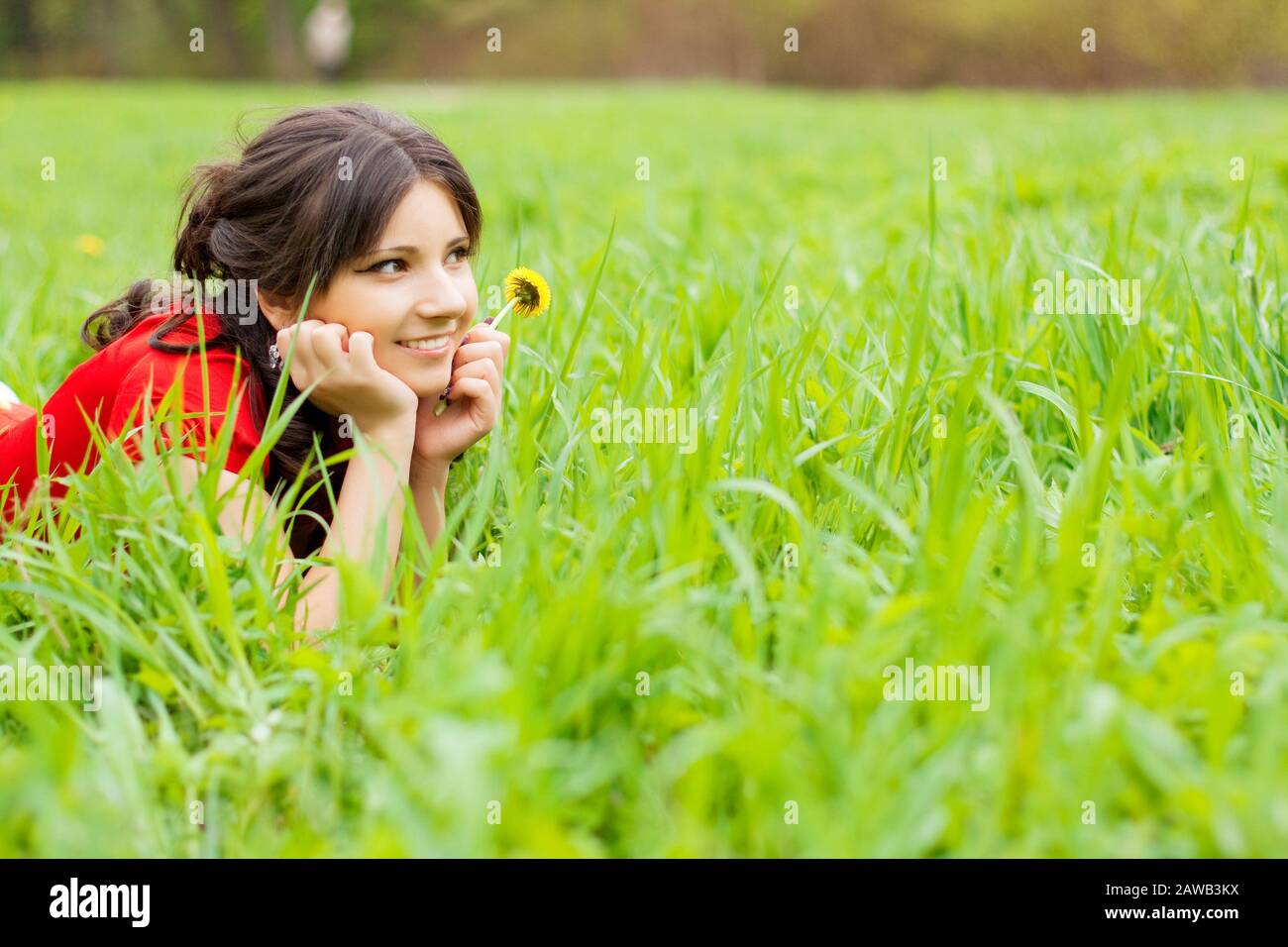 Picture of beautiful girl lying on the grass in the park Stock Photo ...