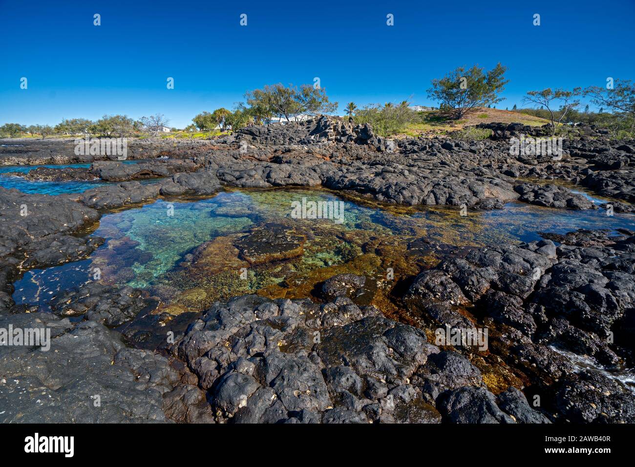 Rock pool exposed on rock shelf at low tide. Barolin Rocks, Woongarra ...