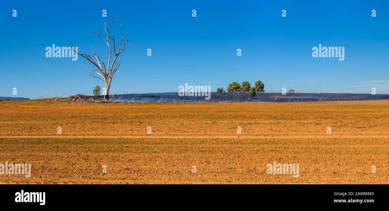 Panorama of foreground ploughed field ready for seeding and background back burned paddock with green trees on horizon. Stock Photo