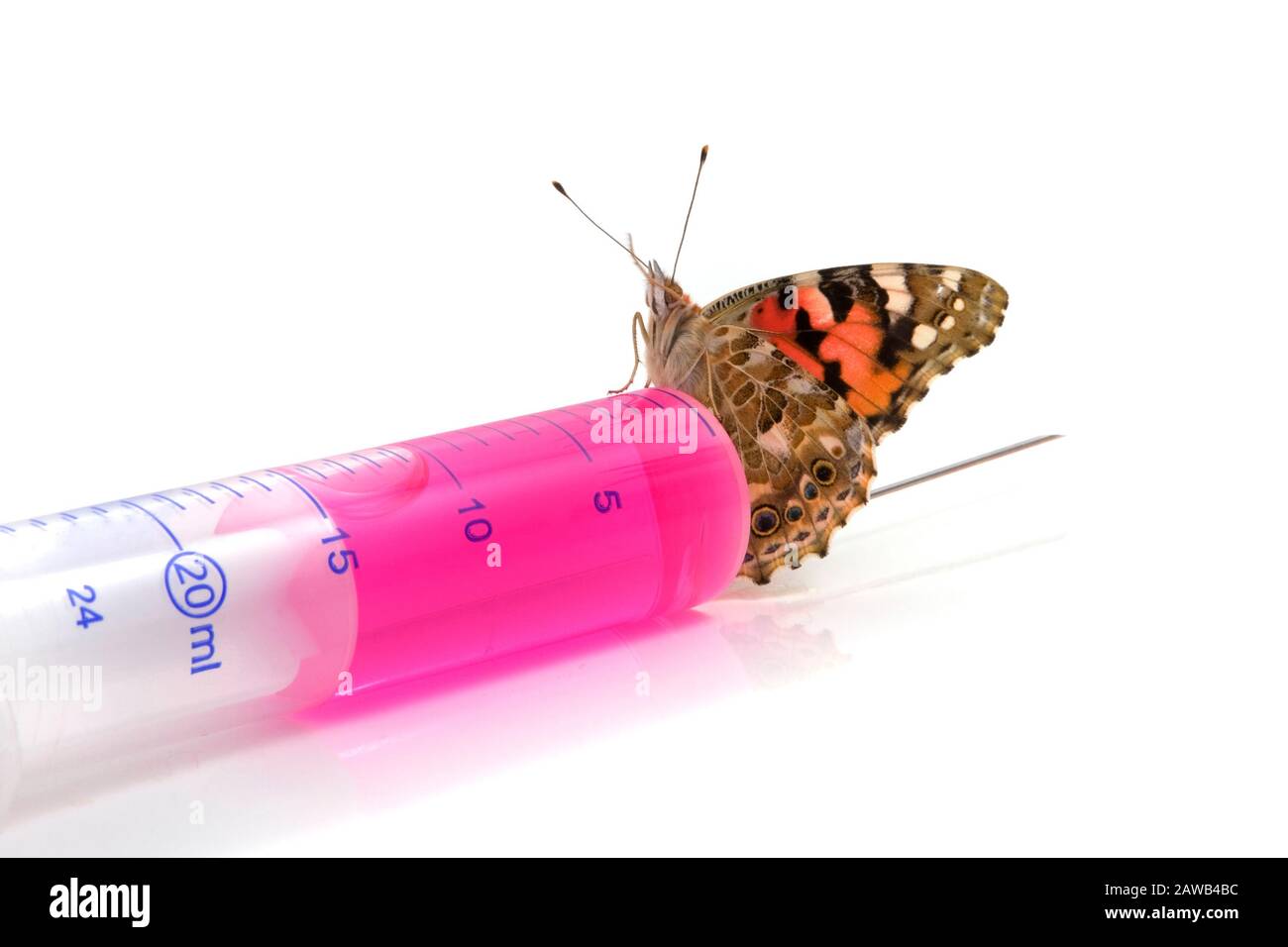 Image of a butterfly is sitting on a syringe on white background Stock