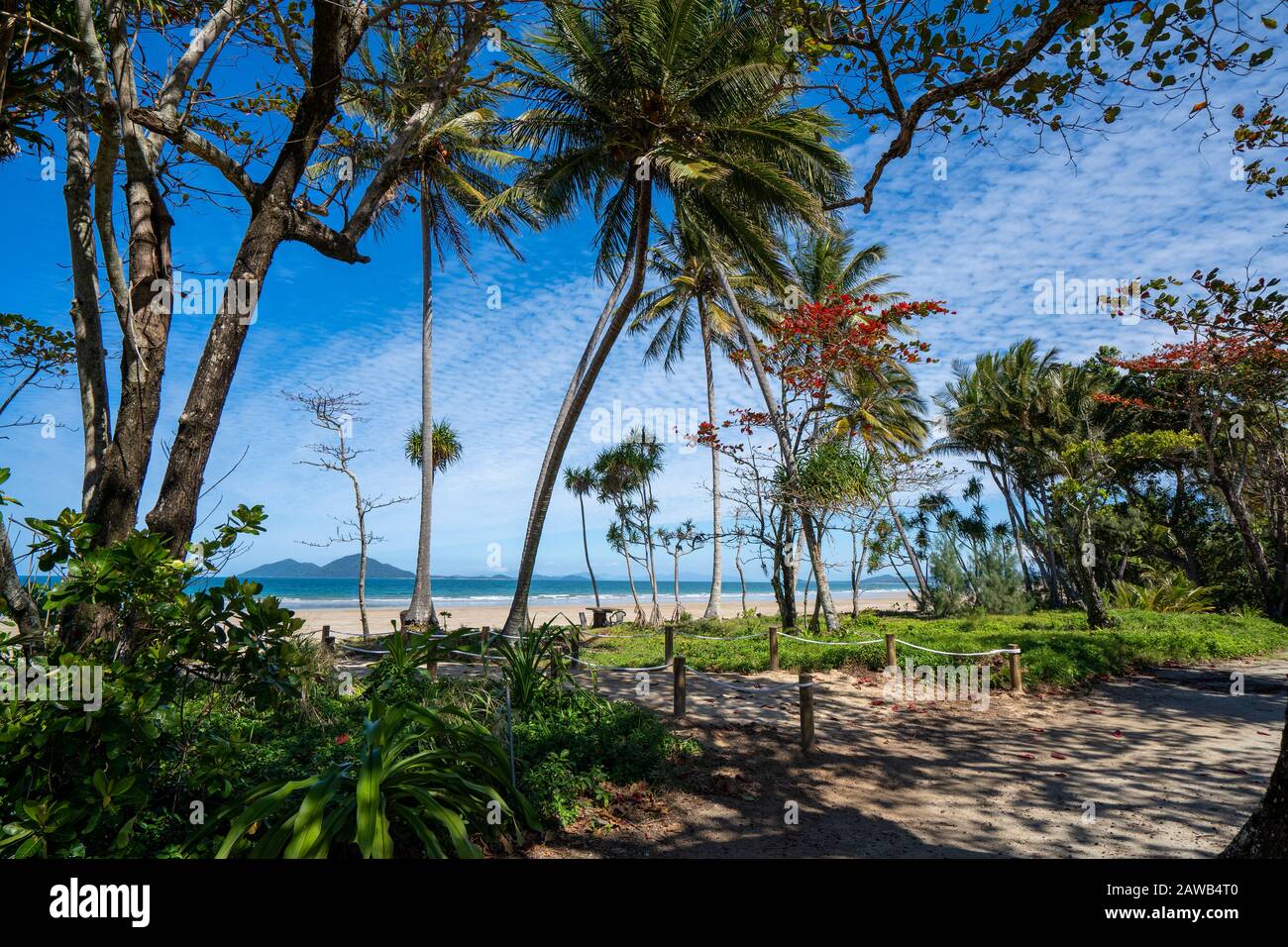 View of exotic palm-fringed South Mission Beach on the Coral Sea, Far North Queensland, Australia Stock Photo