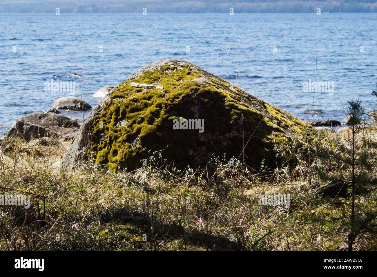 Stone with moss on the shore. mossy boulder by the lake Stock Photo