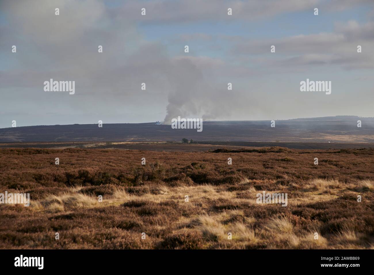 Gamekeeper using controlled heather burning as part of the grouse moor management. North Yorkshire Moors, England, UK, GB. Stock Photo