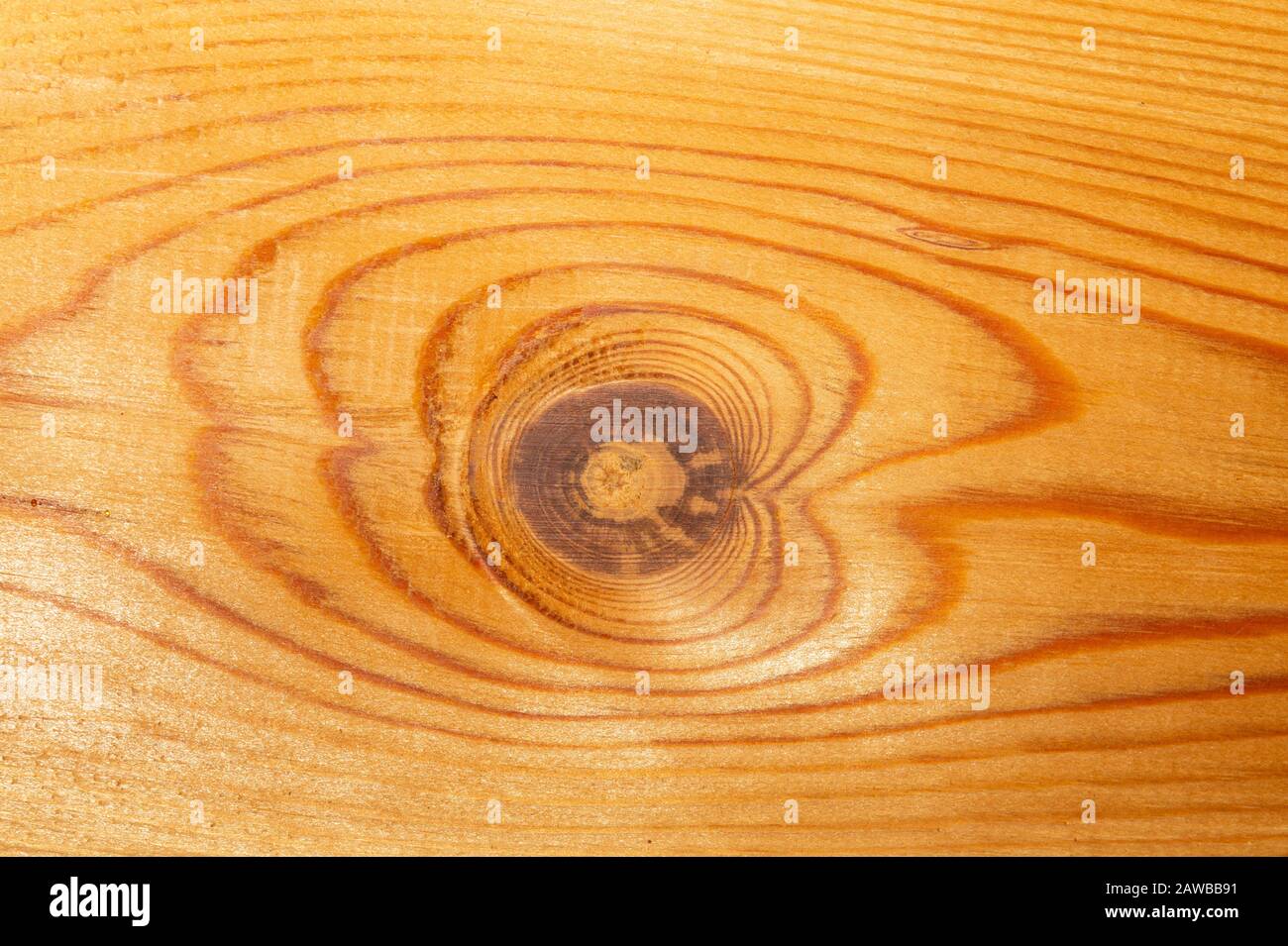 Old wood texture. wooden background Stock Photo