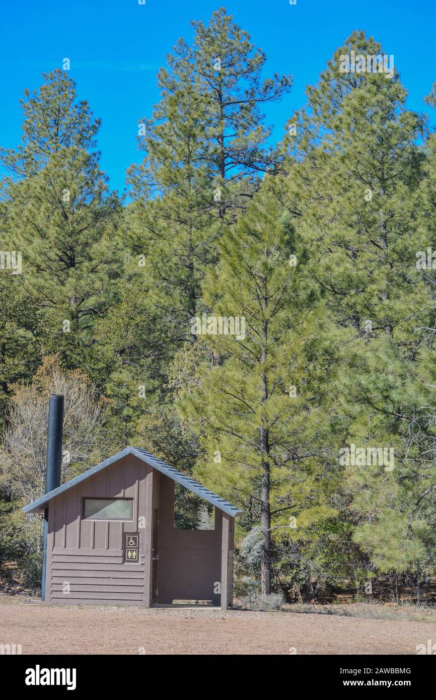 A park bathroom / outhouse equipped for male, female and handicap