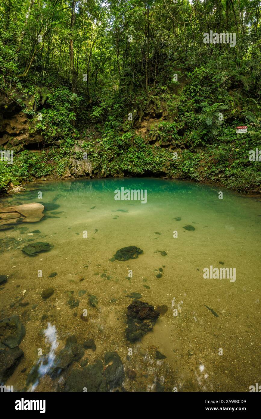 Blue Hole, cenote in rainforest at St Herman's Blue Hole National Park