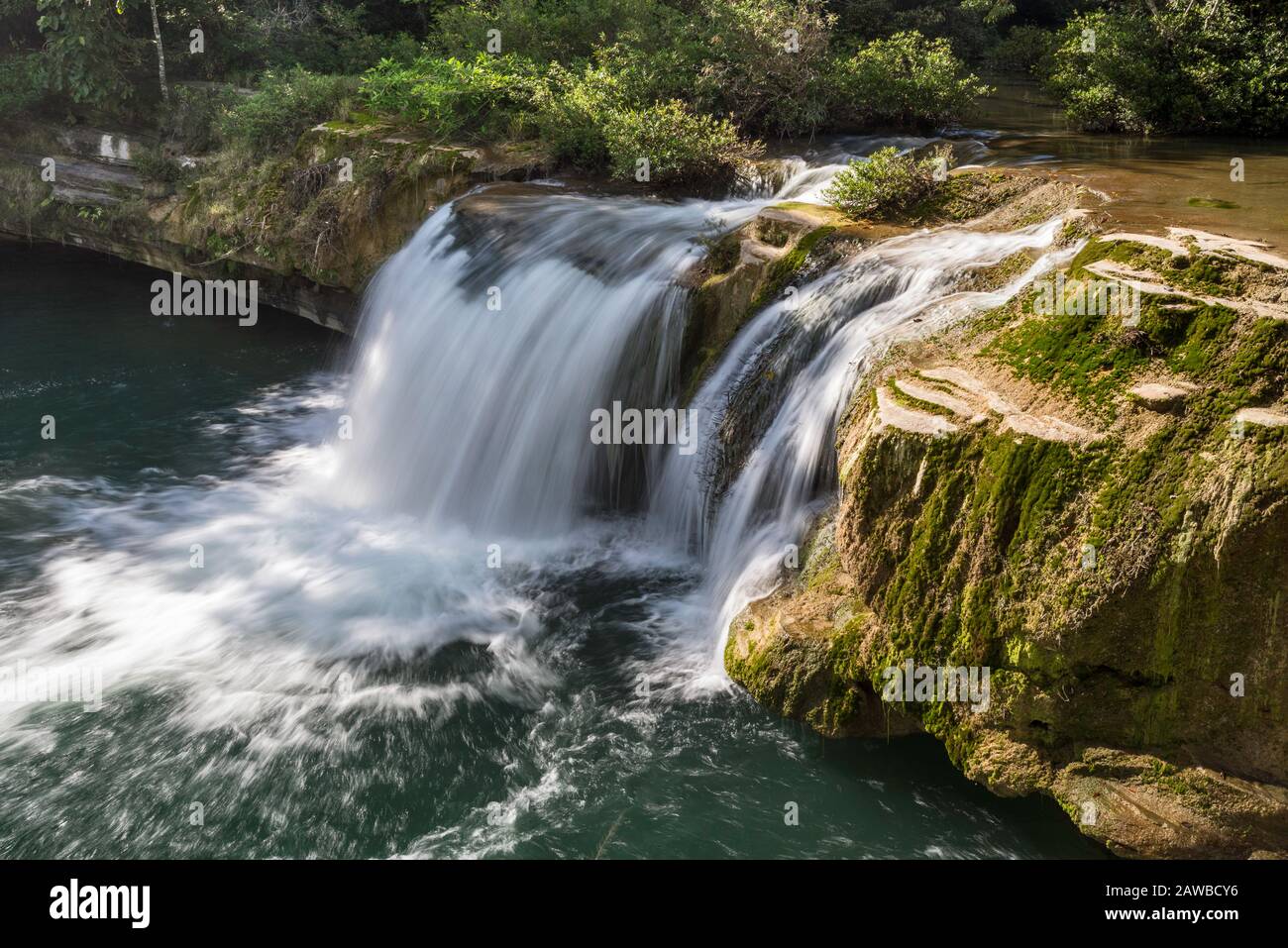 Rio Blanco Falls, Rio Blanco National Park, Maya Mountains, Toledo District, Belize Stock Photo