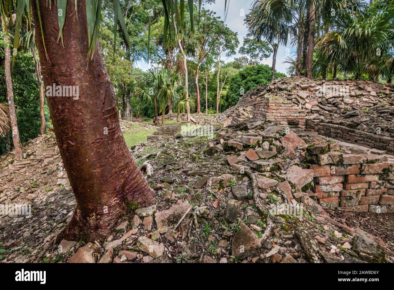 Lubaantun, Maya ruins, rainforest in Maya Mountains, near village of San Pedro Columbia, Toledo District, Belize Stock Photo