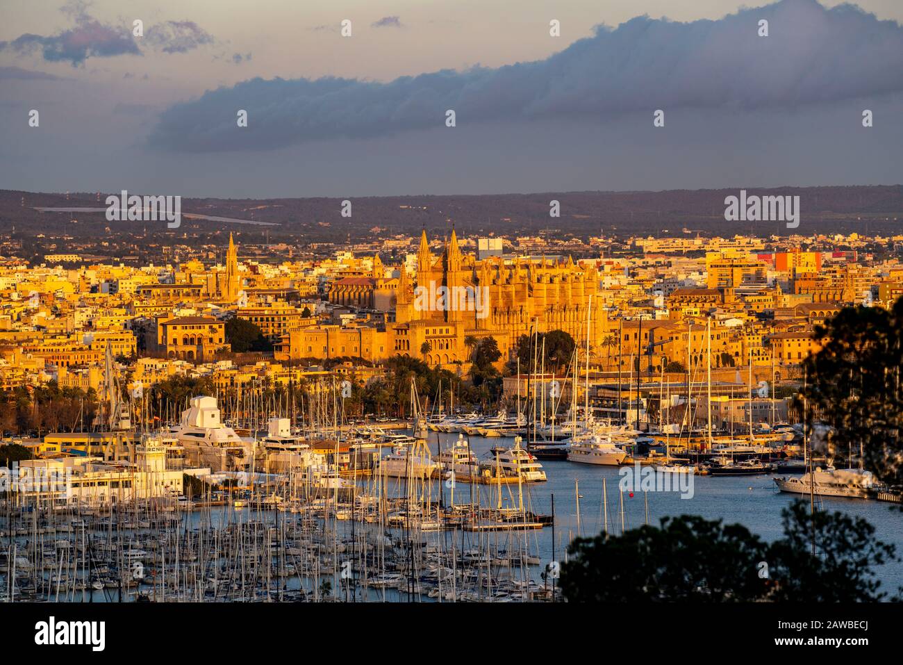 Panorama of Palma de Mallorca, Bay of Palma, with the marina and the Cathedral of Santa Maria, Balearic Islands, Spain Stock Photo