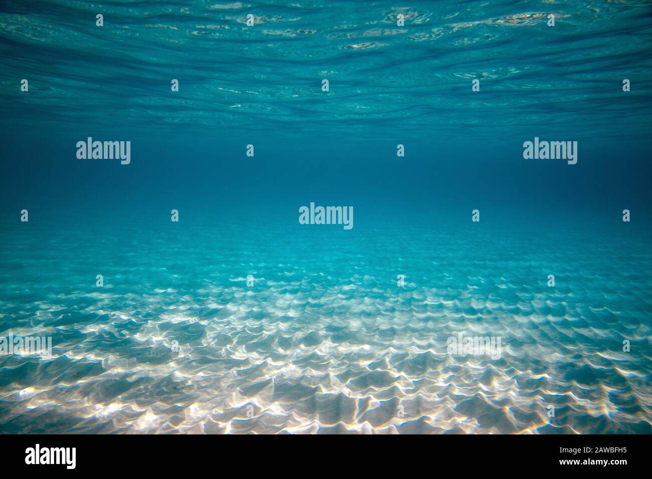 Empty underwater ocean bottom background with copy space Stock Photo