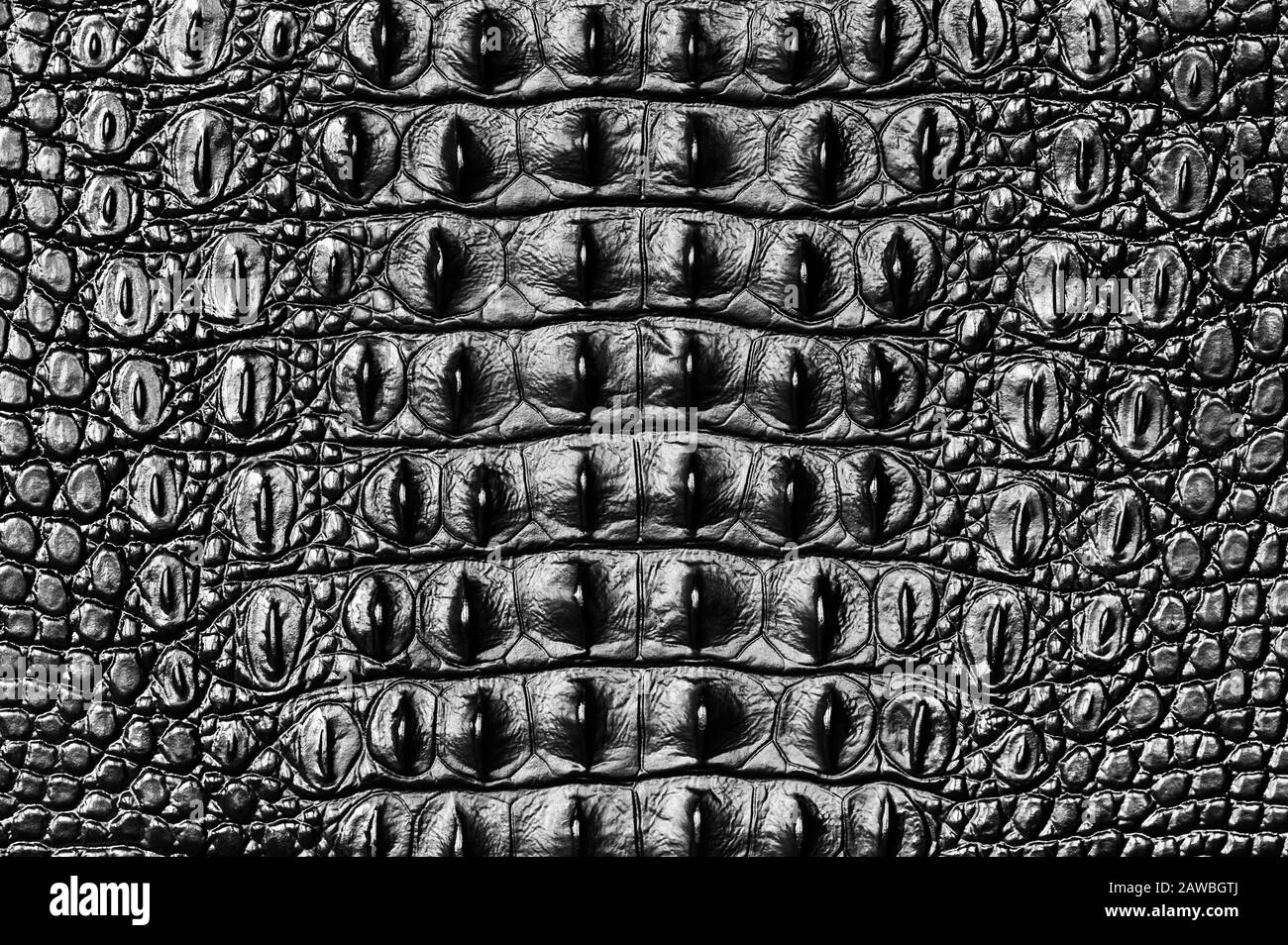 Crocodile Leather Textures Seamless pattern of crocodile textured leather  art Stock Vector Image & Art - Alamy