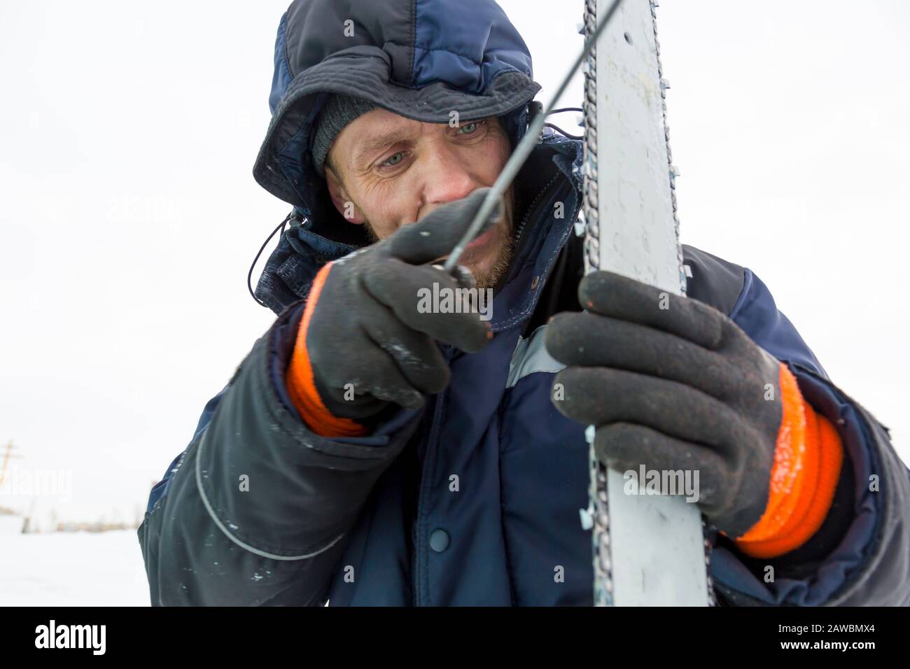 A worker in a blue jacket sharpens a chainsaw chain. Stock Photo