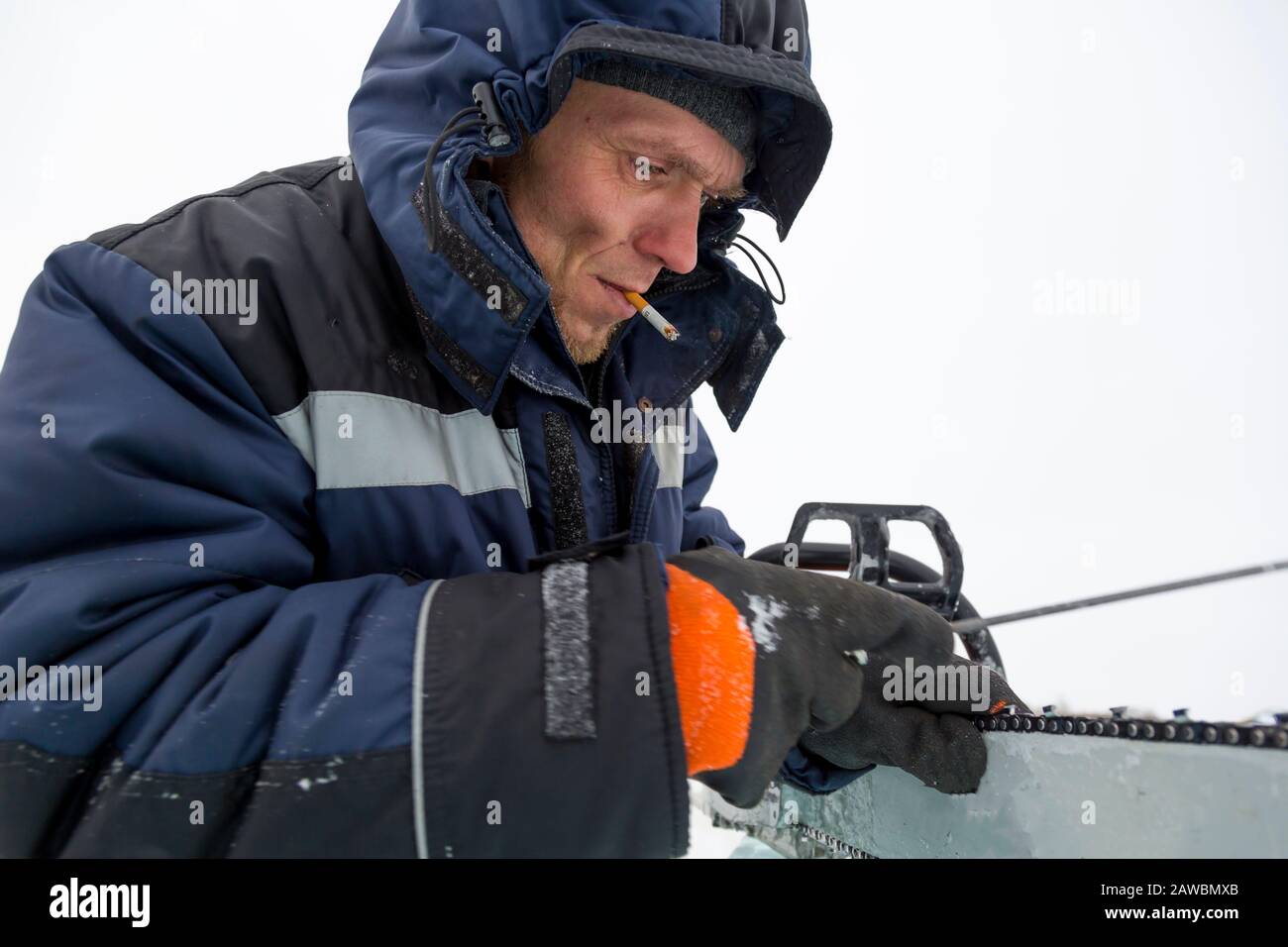 A worker in a blue jacket sharpens a chainsaw chain. Stock Photo
