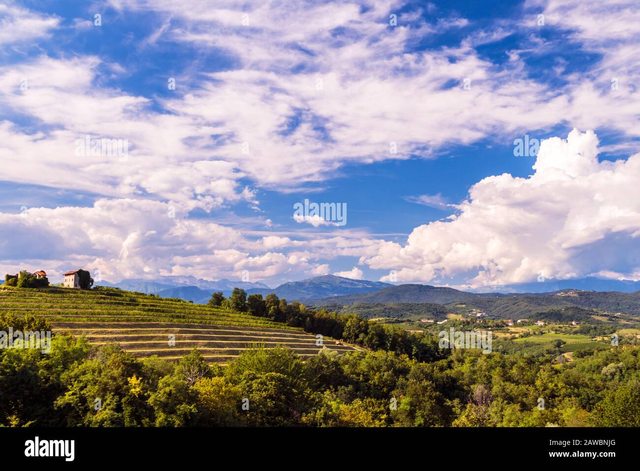 Italy slovenia border vineyard hi-res stock photography and images - Alamy