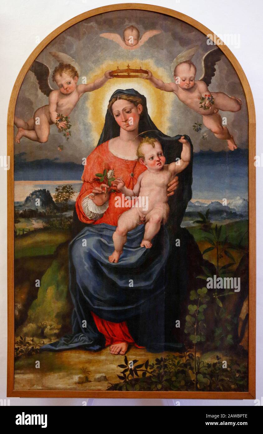 Italy Marche Urbino- Palazzo Ducale -  Galleria Nazionale delle Marche - Madonna and Child. Raffaellino del Colle Stock Photo