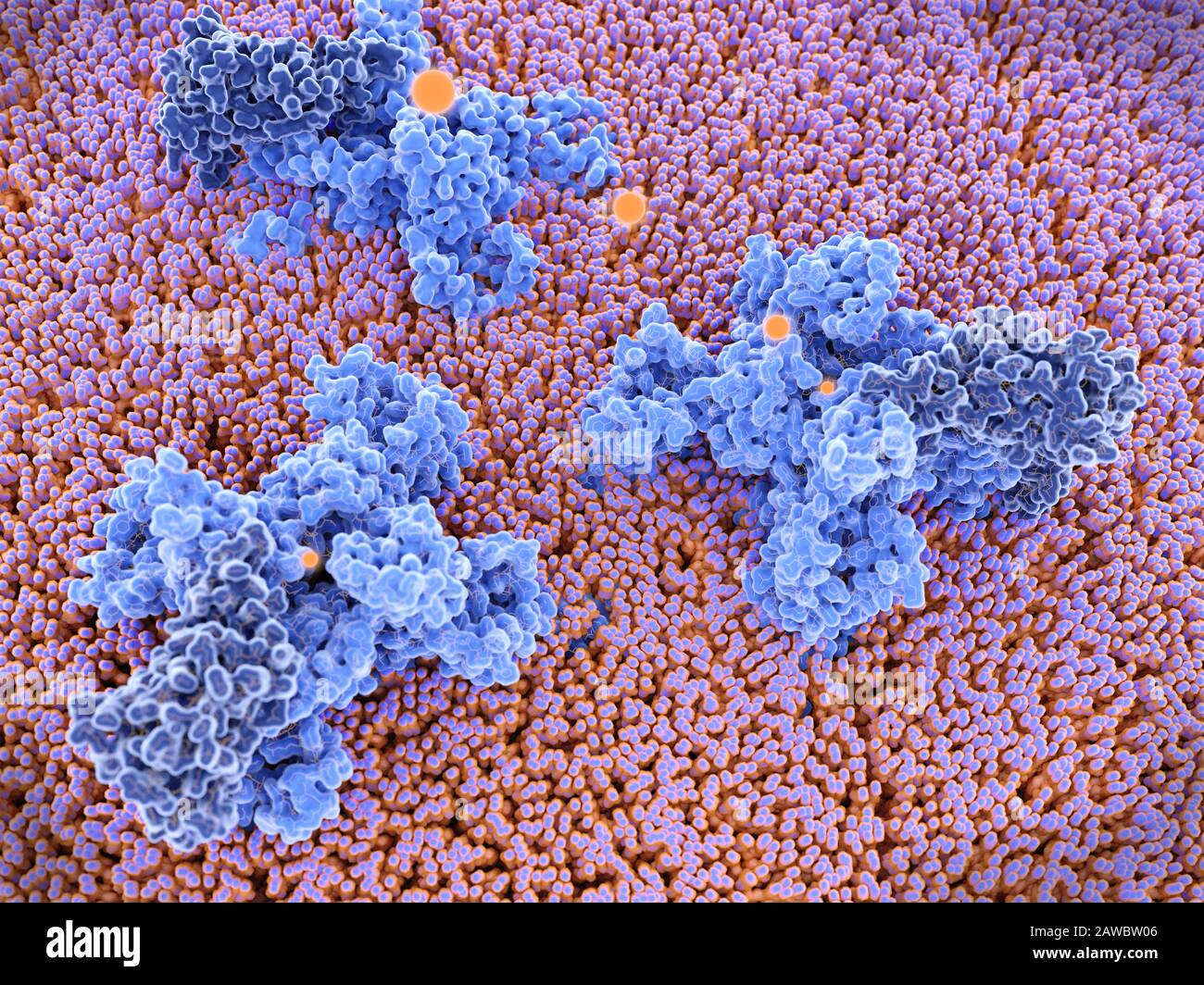 Voltagegated sodium channels and sodium ions, illustration Stock Photo