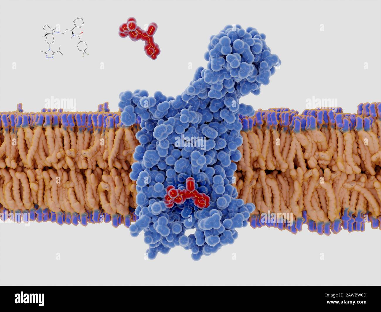 HIV drug binding to CCR5 coreceptor, illustration Stock Photo Alamy