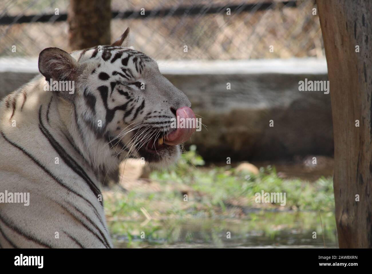 Naren High Resolution Stock Photography And Images Alamy