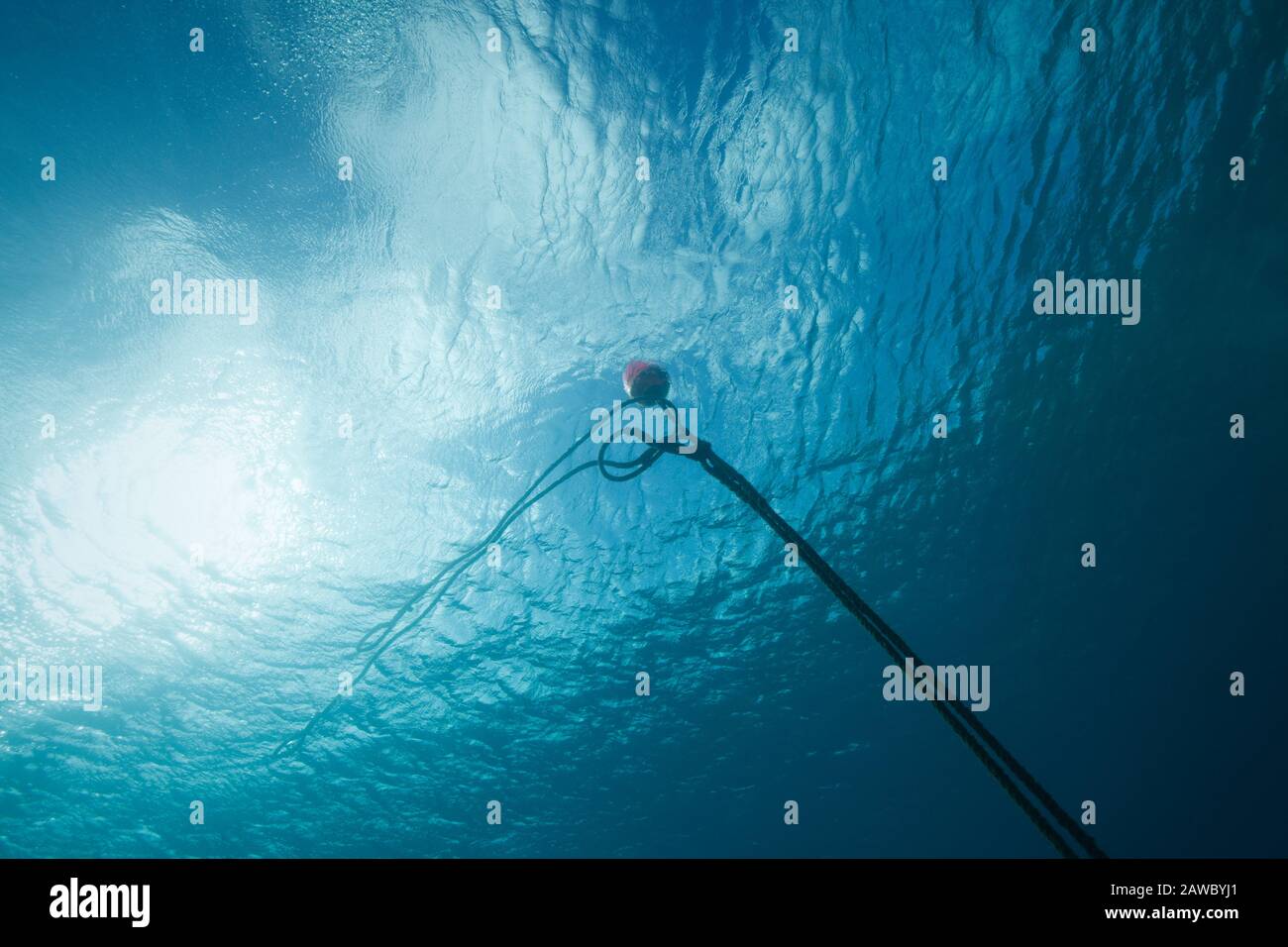 Underwater scene with buoy on surface. Photo V.D Stock Photo Alamy