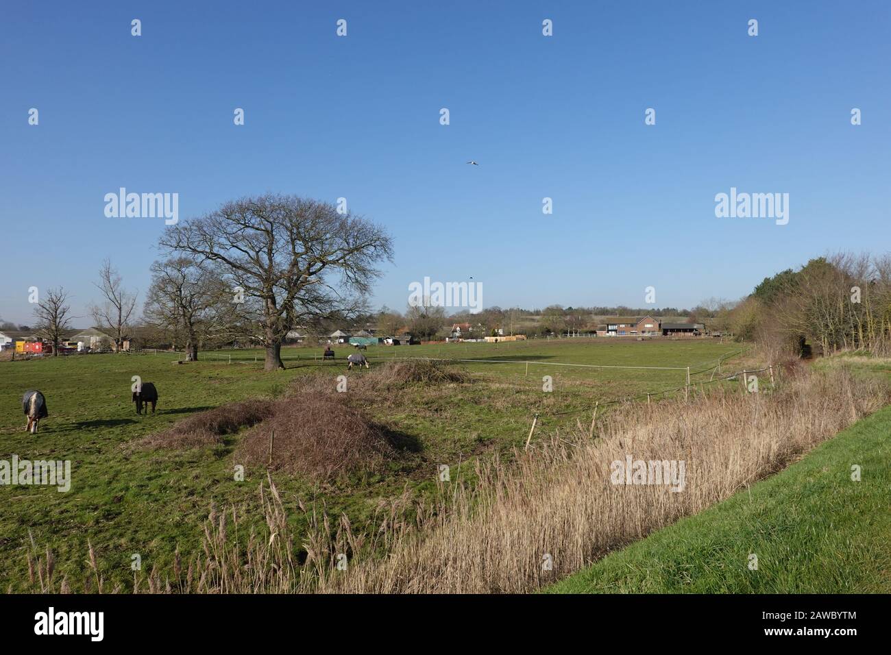 Martlesham creek hires stock photography and images Alamy