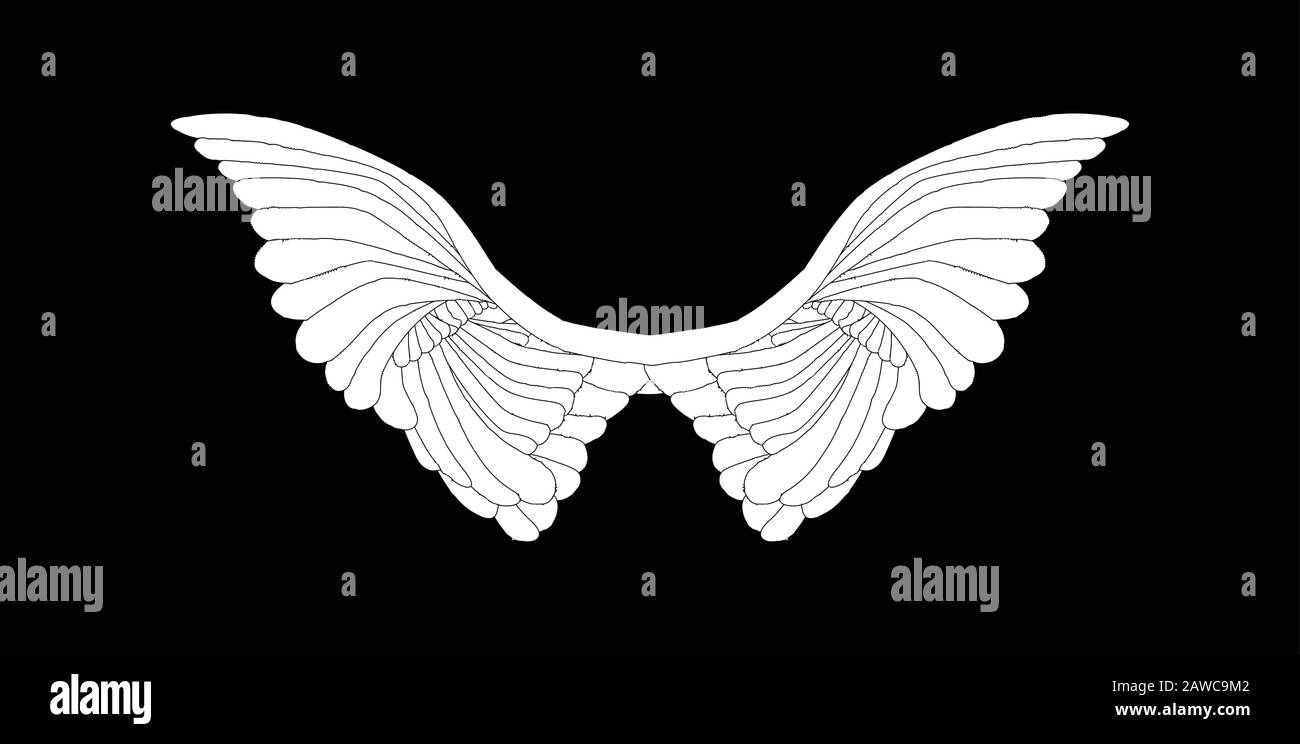 A large pair of white angelic wings spread over a black background ...
