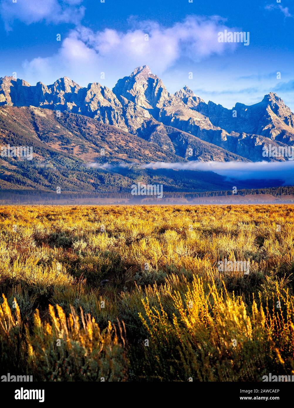Early morning view of the mountain range at Grand Teton National Park in Wyoming. Stock Photo
