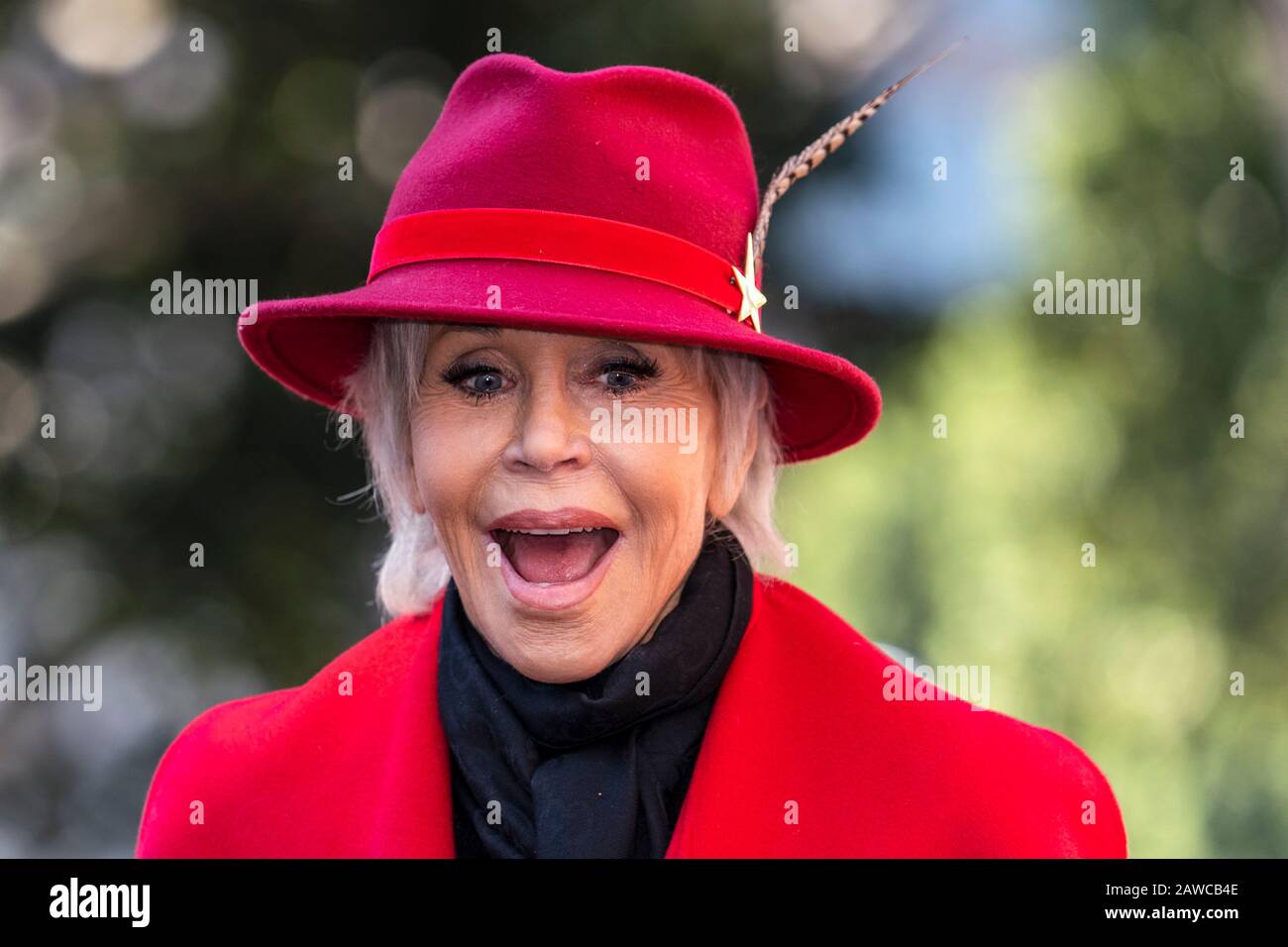 Actress and activist Jane Fonda attends the Fire Drill Friday's climate change rally outside the Los Angeles City Hall. Stock Photo