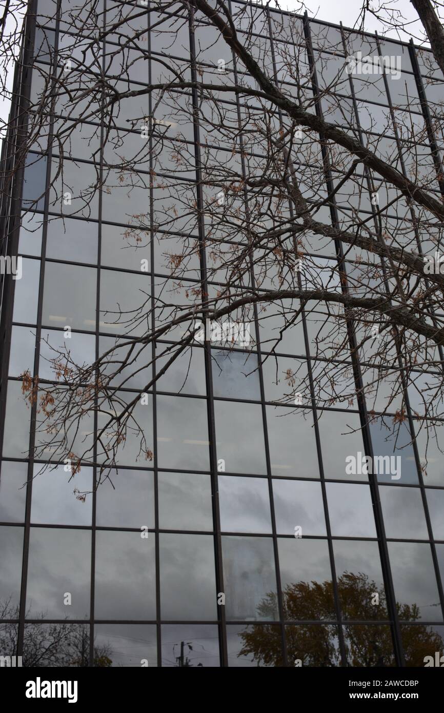 Office building with windows reflecting trees and sky Stock Photo - Alamy