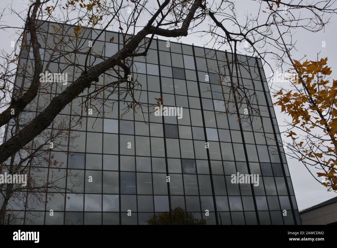 Office building with windows reflecting trees and sky Stock Photo - Alamy